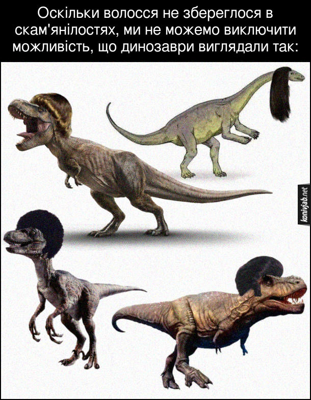 Меми про історію. Задачі на умови у Ruby | Ruby для дітей | ITisFuture