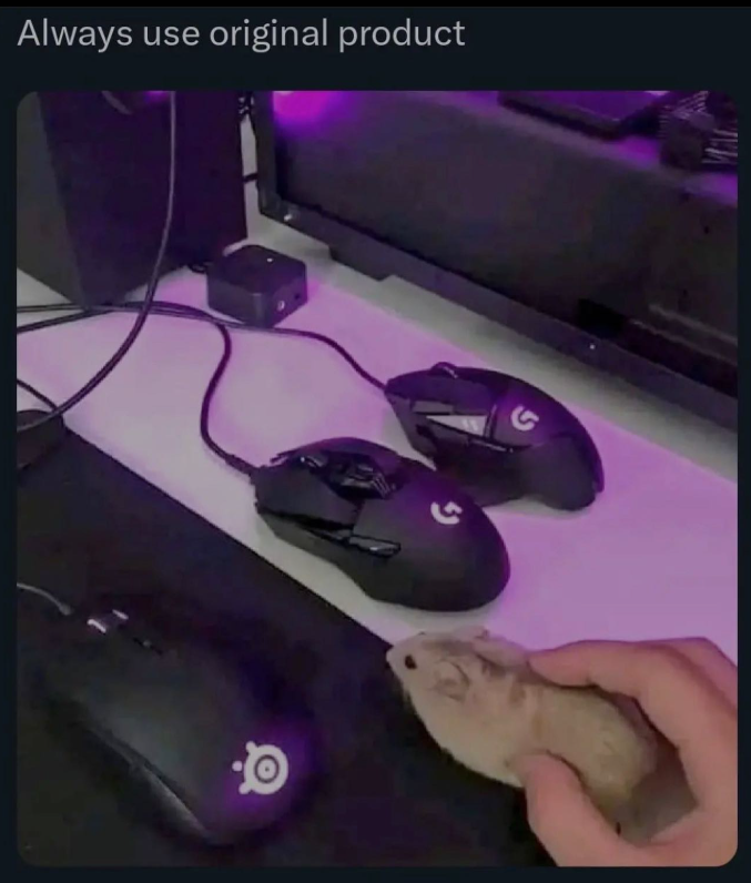 Мем прикол про програмістів і ІТ | Ruby для дітей | ITisFuture